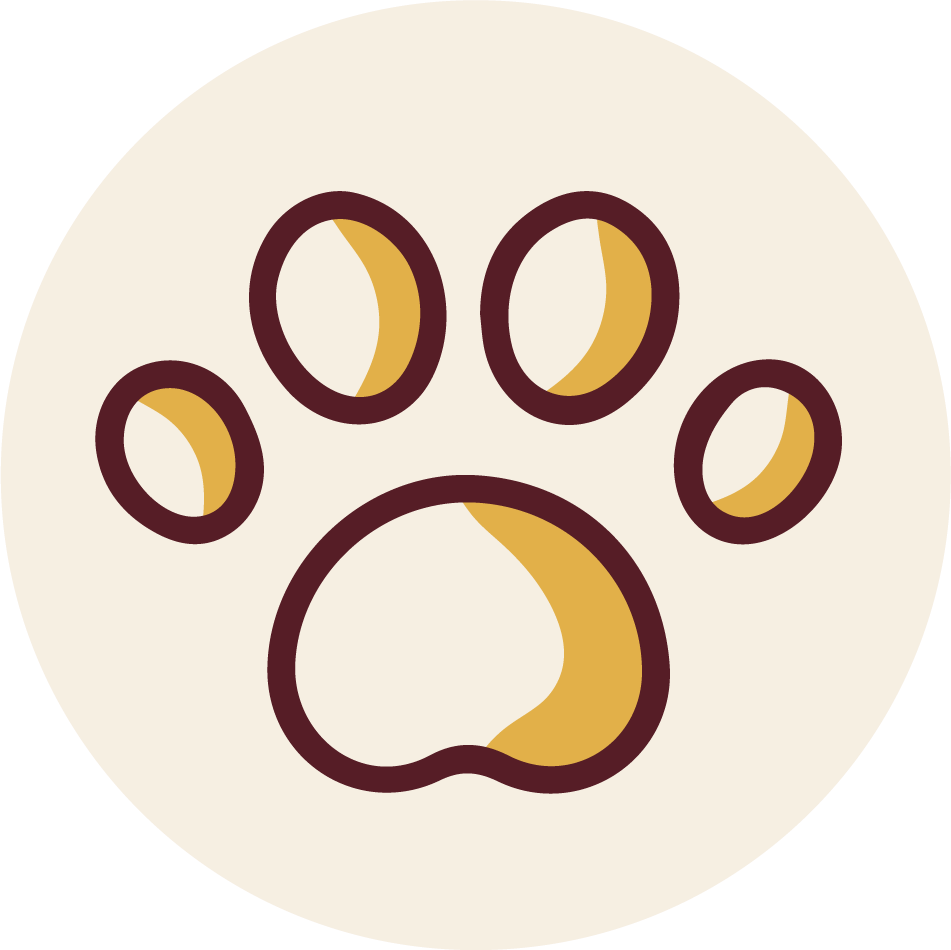 animal paw